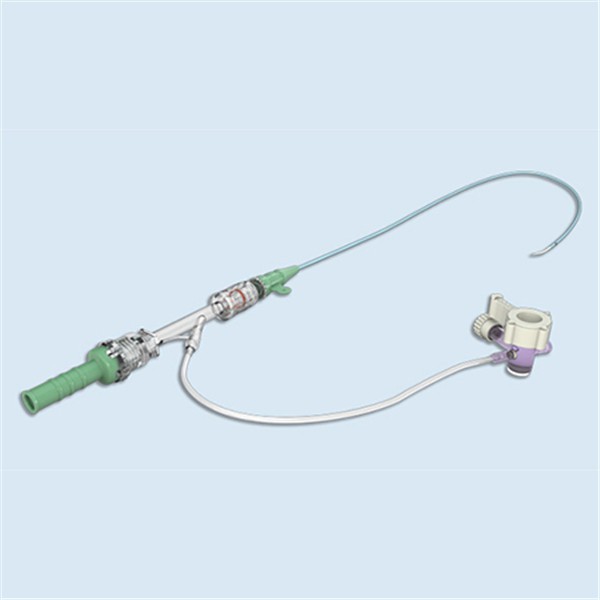 Introducer Sheath Radial (1)