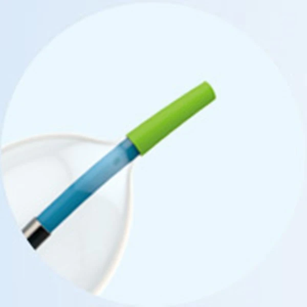 PTCA Catheter